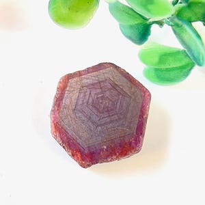 May include: A deep red ruby gemstone with a hexagonal shape and a starburst pattern. The ruby is polished and has a smooth surface.