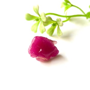 Könnte beinhalten: Ein roher, leuchtend rosa Edelstein mit einer rauen, unregelmäßigen Form. Der Edelstein ist vor einem weißen Hintergrund platziert, mit zarten grün-weißen floralen Akzenten in der oberen rechten Ecke. Der Edelstein scheint ein Rubin zu sein.
