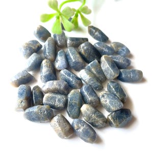 May include: A collection of blue-gray sapphire gemstones. The tumbled stones are oval-shaped and vary in size. A sprig of green leaves is in the upper left corner. The gemstones are on a white surface.