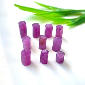 Puede incluir: Una colección de pequeños cristales de rubí en bruto, de forma hexagonal, en tonos rosados y púrpuras. Los cristales están dispuestos sobre una superficie blanca, con tallos de plantas verdes en el fondo. Estas piedras preciosas son ideales para joyería o coleccionismo.