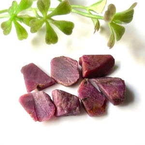 Puede incluir: Una colección de ocho piedras preciosas de rubí rosa en bruto. Las piedras son de varios tamaños y formas, algunas muestran facetas naturales.