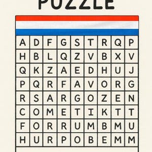 Dutch Word Search: Beginner Bundle - 20 Themed Word Search Puzzles to Master Basic Dutch Vocabulary