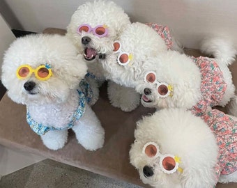 Dog Cat Pets Cute Sunglasses for Summer Trips