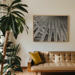 Black+White Photo, Printable Wall Art, Digital Download, Palm, Home Decor, Fine Art Photography, Travel, Minimalist Wall Art