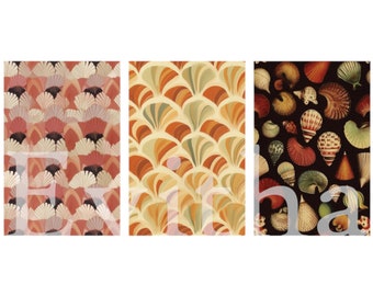 Seashell Themed Dollhouse Wallpapers - Set of 3 Designs, 1:12 Scale