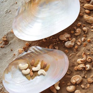 Handmade Sea Shell Serving Tray I Mother of Pearls Serving Tray , Breakfast tray, Decorative Tea tray, Romantic Gift- Birthday-gift for her