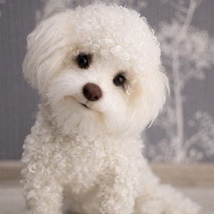 Fake puppies that look real top