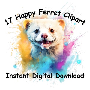 17 Happy Ferret Watercolor Ferret Clipart Watercolor Clipart Digital Download Clipart Ferret Transparent Background Ferret scrapbooking