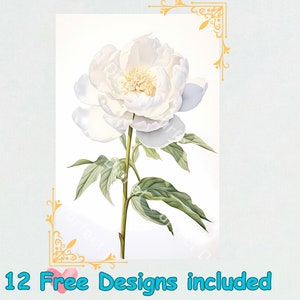 White Peony watercolor clipart bundle 21 high quality JPG - floral clipart White Peony  watercolor clipart
