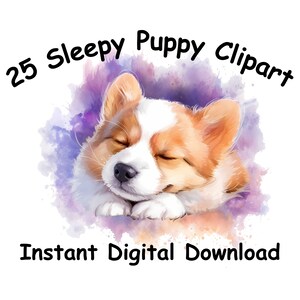 25 PNG sonnolento cucciolo acquerello cucciolo Clipart acquerello Clipart Digital Download Clipart cane sfondo trasparente arte cucciolo scrapbooking