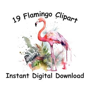 19 Flamingo  watercolor Clipart  flower Watercolor Flamingo Clipart Watercolor Clipart bundle PNG Transparent Background PNG Flamingo