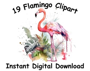 19 Flamingo  watercolor Clipart  flower Watercolor Flamingo Clipart Watercolor Clipart bundle PNG Transparent Background PNG Flamingo