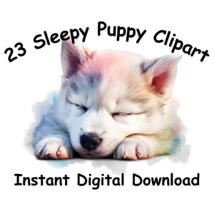23 Cane assonnato acquerello cucciolo Clipart acquerello Clipart Digital Download Clipart cucciolo sfondo trasparente Cucciolo di arte scrapbooking cucciolo