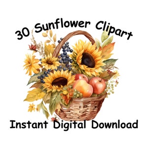 Sunflower Watercolor Sunflower Clipart Watercolor Clipart Clipart Sunflower Transparent Background Sunflower scrapbooking Sunflower