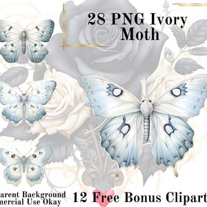 28 White Moth Aquarell Clipart Bundle-Aquarell Moth Ivory PNG Transparenten Hintergrund PNG Fairytale Fairy tale Kommerzielle Nutzung