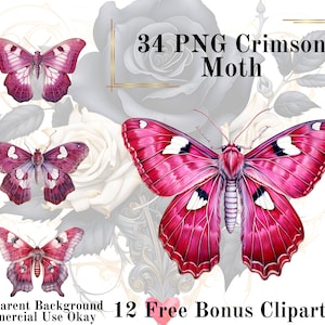 34 Pink Moth Aquarell Clipart Bundle-Aquarell Moth Crimson PNG Transparenten Hintergrund PNG Märchen Kommerzielle Nutzung Sofortiger Download