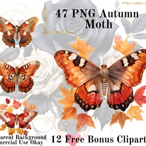 47 Autumn Moth Aquarell Clipart Bundle-Aquarell Moth Brown PNG Transparenten Hintergrund PNG Märchen Kommerzielle Nutzung Sofortiger Download
