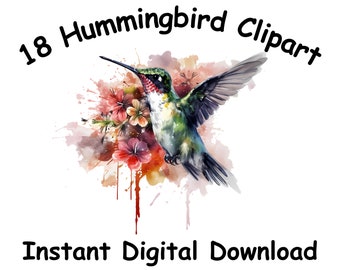 18 Hummingbird  watercolor Clipart  flower Watercolor Hummingbird Clipart Watercolor Clipart bundle PNG Transparent Background PNG