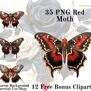 35 Rote Motte Aquarell Clipart Bundle-Aquarell Moth Gothic PNG Transparenten Hintergrund PNG Märchen Kommerzielle Nutzung Sofortiger Download
