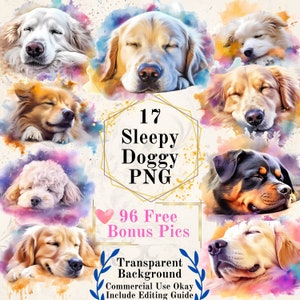 17 PNG Sleepy dog Acquerello Clipart: Acquerello Clipart Digital Download Clipart cane Sfondo trasparente Art dog carta scrapbooking