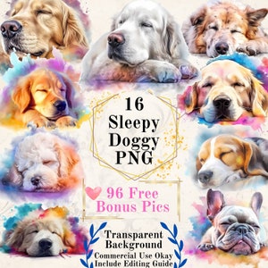 16 Sleepy Dog Acquerello Clipart: Download digitale Clipart cane Sfondo trasparente Arte cane scrapbooking cane