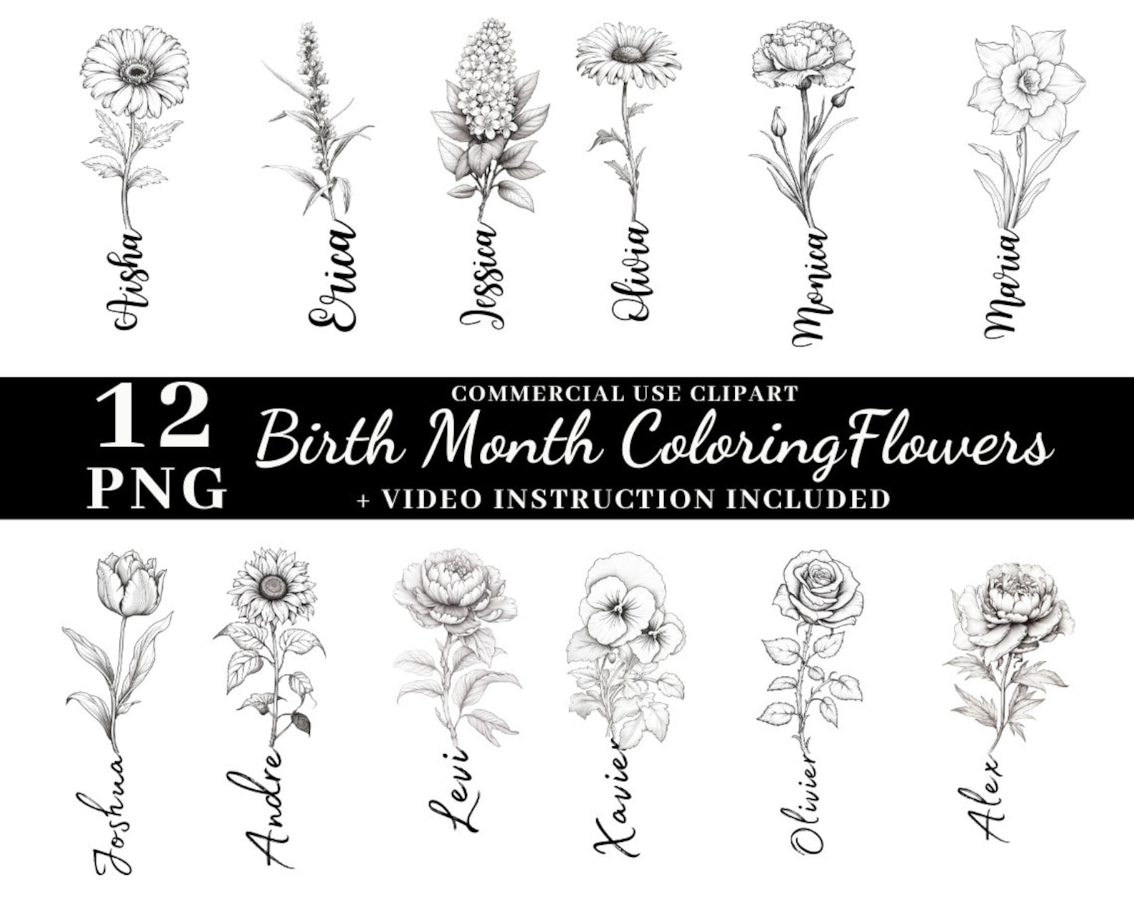 Birth Flower Coloring Birth Month Flowers Set Rose Birthflowers ...