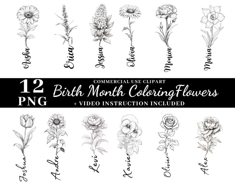 Birth Flower Coloring Birth Month Flowers Set Rose Birthflowers