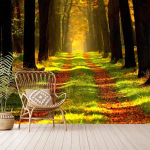 Forest Wallpaper Peel and Stick,Forest Wall Mural,Cool Nature Wallpaper,Self-Adhesive, Peel and Stick, Non-Woven