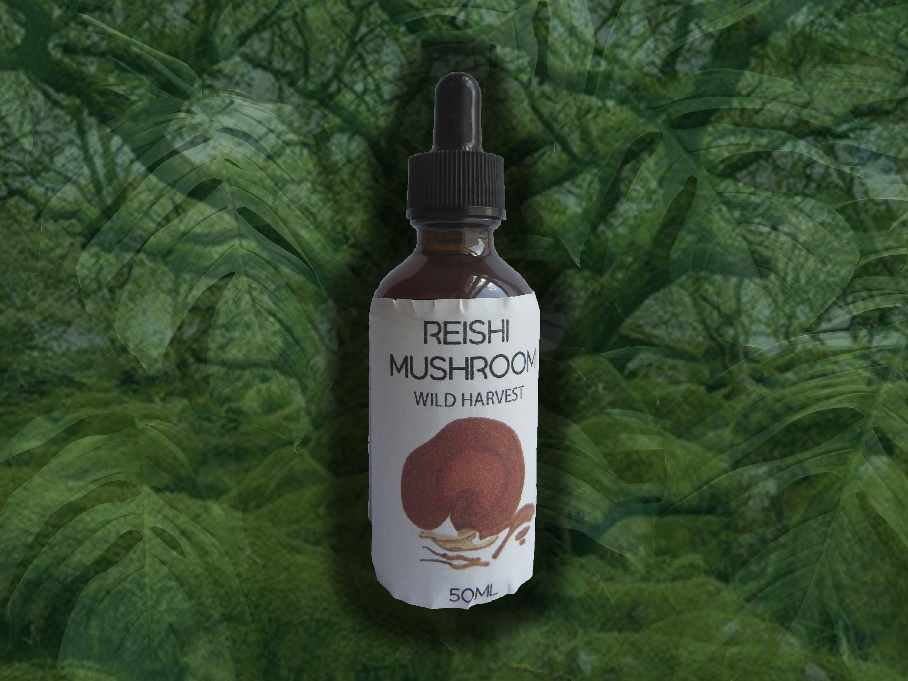 The Shroomy Temple  Wild Reishi Mushroom Tincture – Black Magic Alchemy