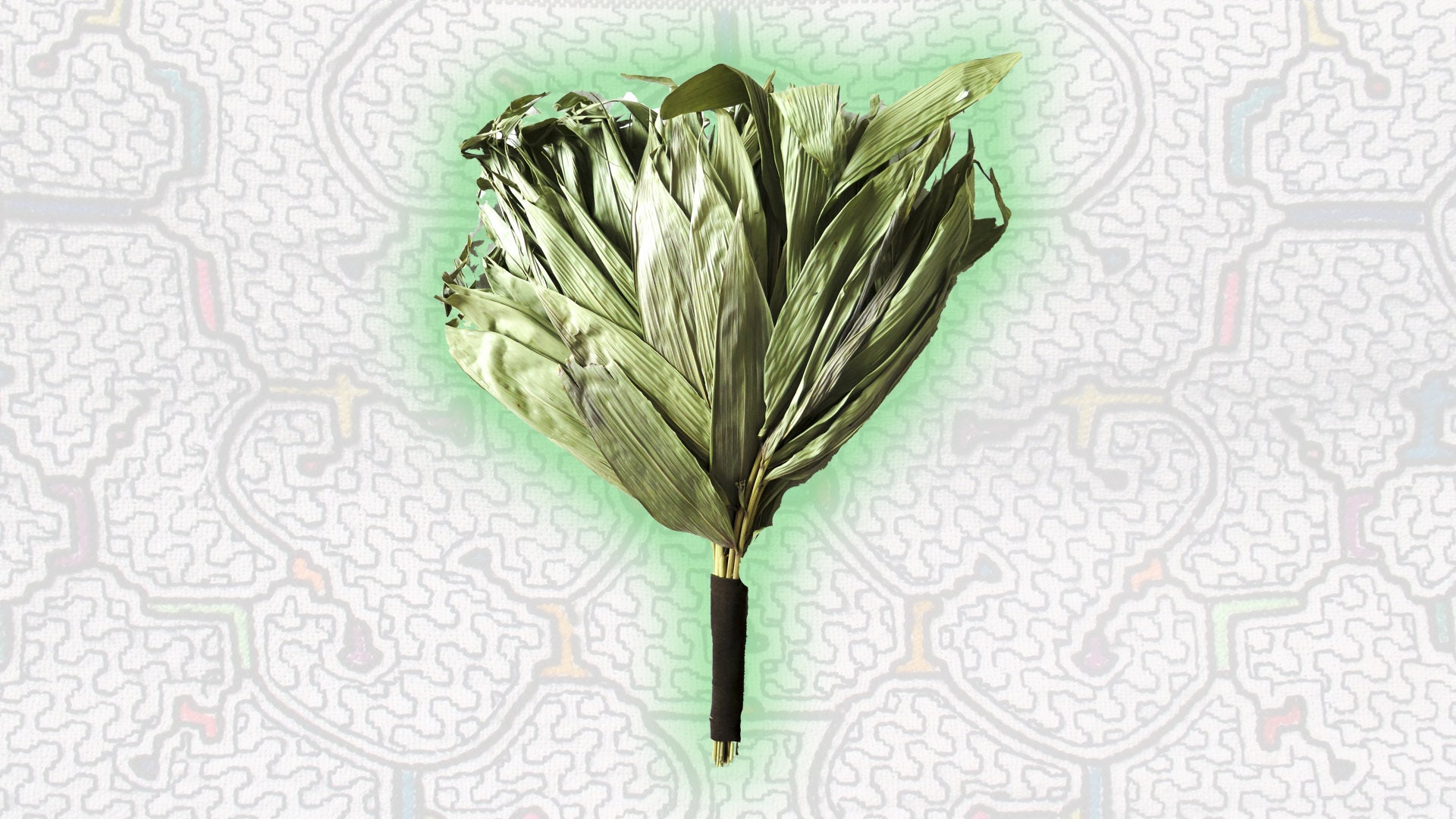 CHAKAPA Chacarpa or Huaira Sacha Leaf Rattle - Etsy