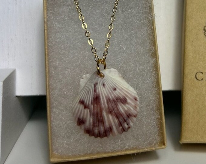 Calico Shell Necklace, One of a Kind, Handmade, 16 K Gold Cable Chain, 16 Inches, Customizable Gift Box Option