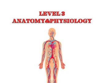 Manuel de formation éditable Anatomie & Physiologie niveau 3
