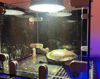 Acrylic Above the Tank Basking Platform for Large Turtles