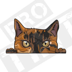 Peeking Tortoise Shell Cat Vinyl Decal, Waterproof Car Laptop Sticker
