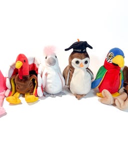 Vintage TY Beanie Baby Bird: 1990s Plush Toy (sold Individually