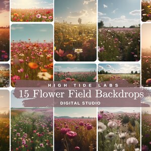 15 décors numériques de champs de fleurs pour la photographie professionnelle, décors de studio pour photographes, décors de la nature