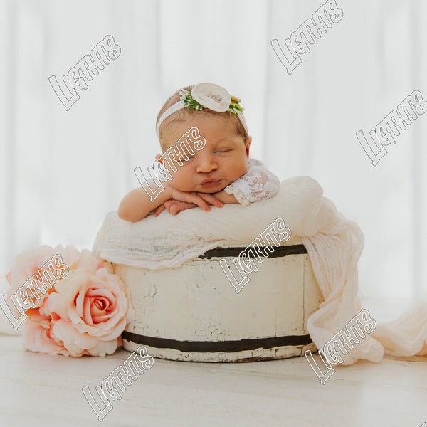 Digital Dreamscapes, Newborn Photography Background, digital background, white casserole with roses for female newborn