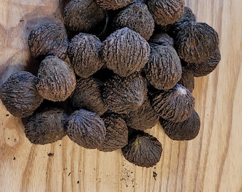Peut inclure: Un tas de noix noires brun foncé à la surface texturée, sur un fond en bois brun clair. Les noix ont une coque rugueuse et ridée. Le grain du bois est visible.