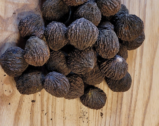 Whole Black Walnuts Etsy