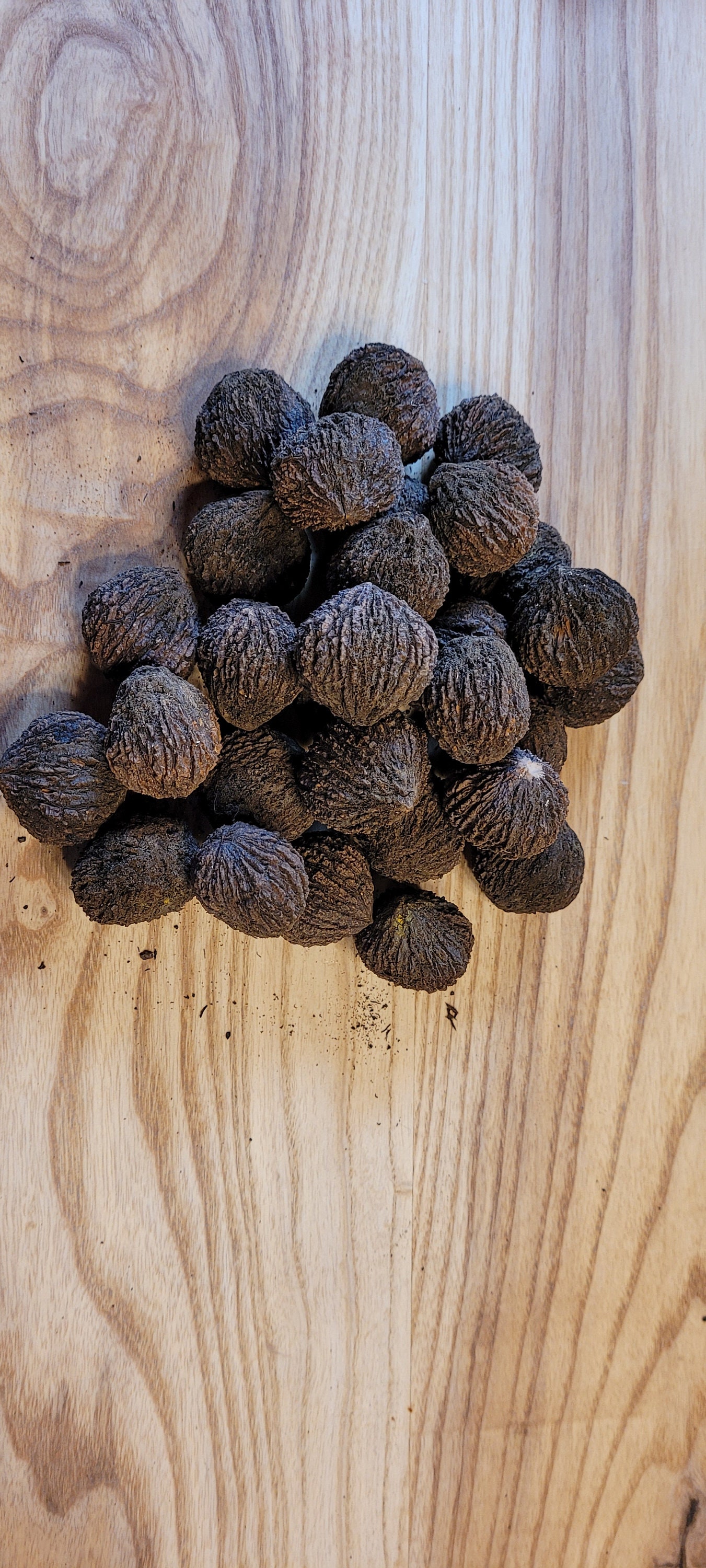 Whole Black Walnuts Etsy
