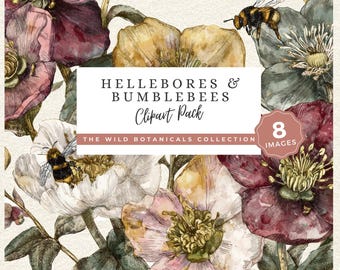 Hellebore PNG Clipart, Bumblebee Floral Graphics, Wild Botanical Art