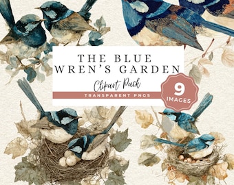 Blue Wren PNG Clipart, Vintage Garden Bird Graphics, Botanical Nest Artwork