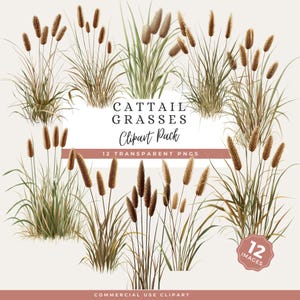 Wild Grass Clip Art PNG Watercolor Set, Botanical Cattail Reed Illustration, Minimalist Nature Digital Art
