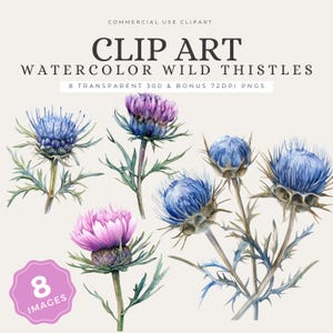 8 Clipart chardon aquarelle, fleur pourpre écossais PNG, Illustration florale de fleurs sauvages, art floral botanique, téléchargement numérique - CA19