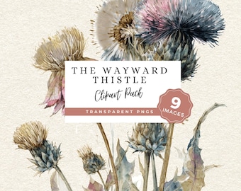 Thistle patch PNG, Botanical Clipart Pack, Vintage Wildflower Graphics