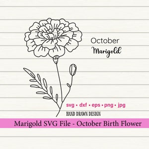 Ringelblume SVG, Geburt Monat SVG, Blume Tatoo svg, Geburt Monat Blume, botanische SVG, Vektor Blume, Geburt Blume svg, Ringelblume Blume svg