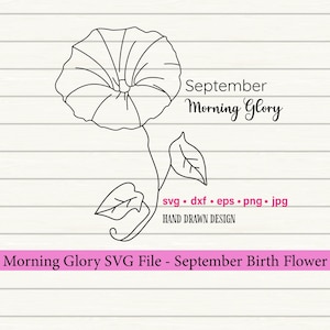 Morning Glory SVG, Birth Month SVG, Birth Flower svg, Flower Tattoo svg, Birth Month Flower, September Birth Flower, Botanical SVG, Floral