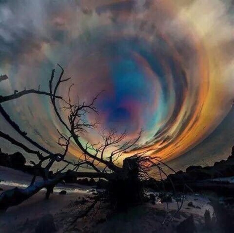 May include: A surreal landscape featuring a fallen tree with bare branches against a swirling, colorful sky. The sky transitions from dark blues and purples to vibrant oranges and yellows, creating a dramatic, dreamlike scene.