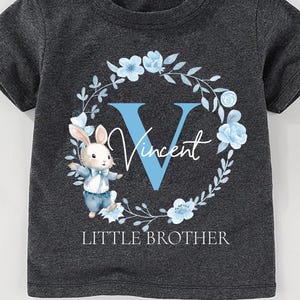 Customized Big Brother Little Sister Shirt, Baby Sister Shirts, Newborn Outfit, Sister Brother Matching Outfits, New Baby Sister Gifts