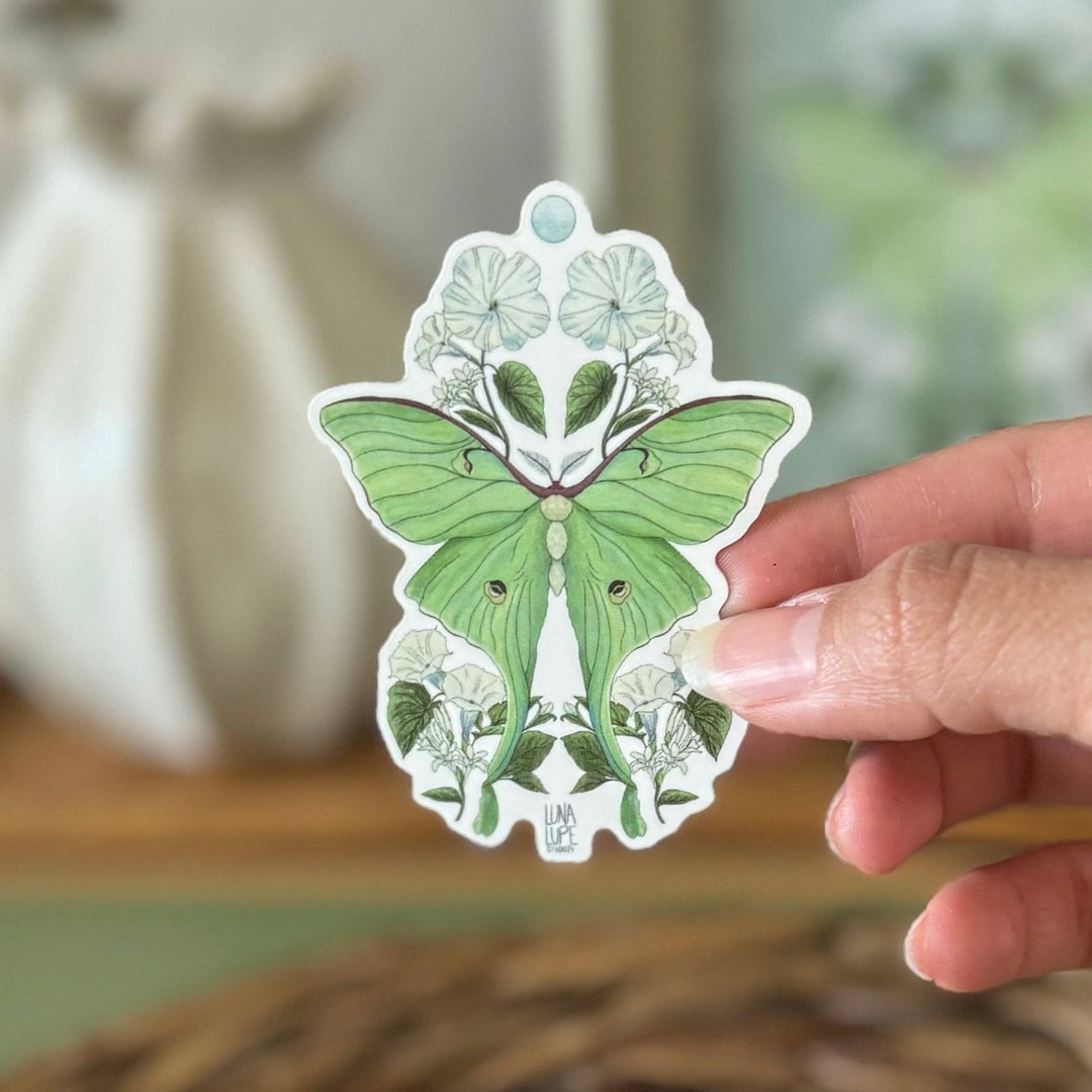 Luna Moth Vinyl Sticker - Etsy